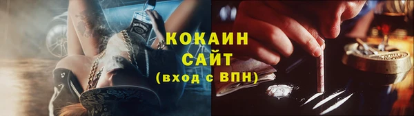 индика Кинешма