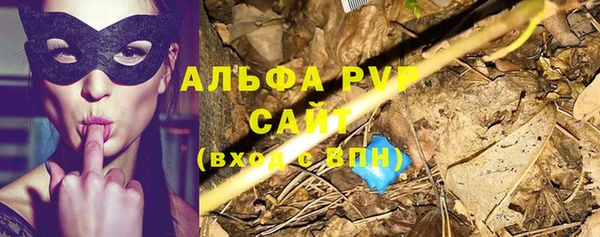 сатива Богородицк