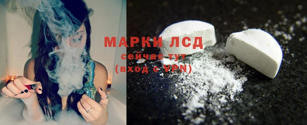 сатива Богородицк