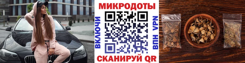 где можно купить Гуково Псилоцибиновые грибы Psilocybe